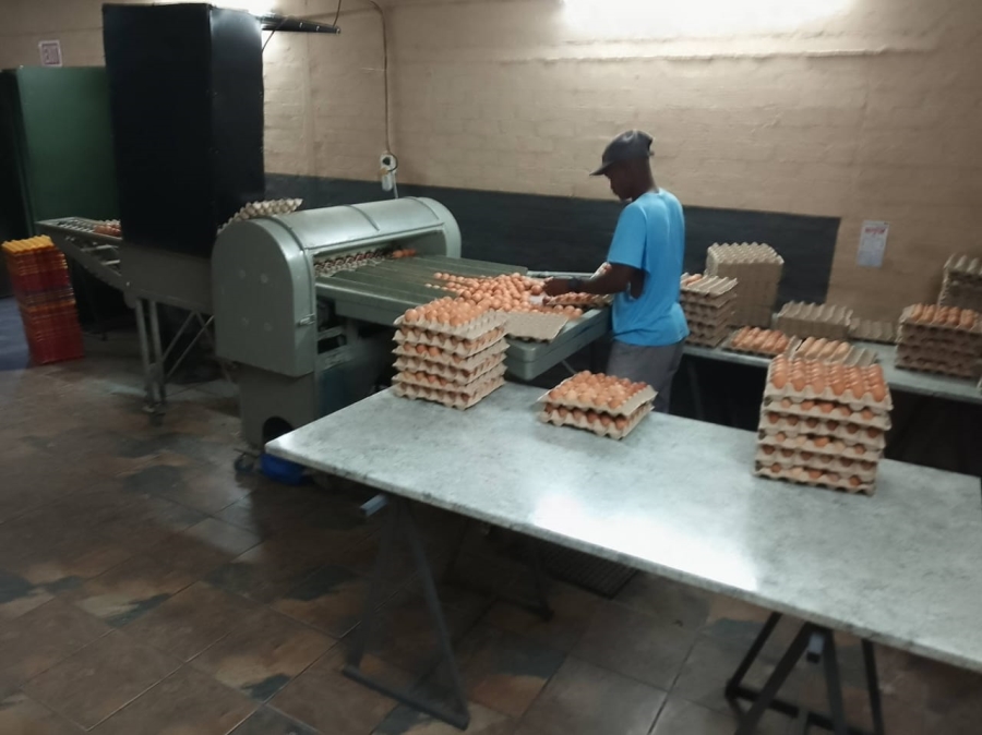 4 Bedroom Property for Sale in Bultfontein Free State